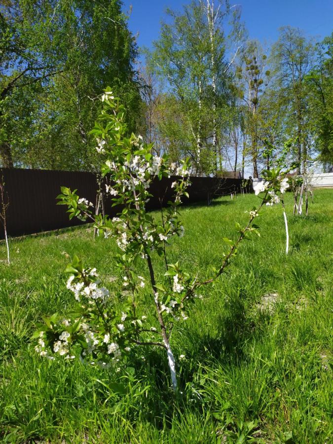 Villa Лукі Switjas Exterior foto